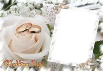 Photo effect from category Wedding frames № 31729. An inscription on the frame: Wedding Day Photo effect from category Wedding frames № 31729. An inscription on the frame: Wedding Day