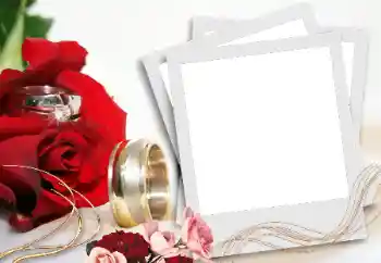 Photo effect from category Wedding frames № 31736 Photo effect from category Wedding frames № 31736