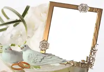 Photo effect from category Wedding frames № 32814 Photo effect from category Wedding frames № 32814