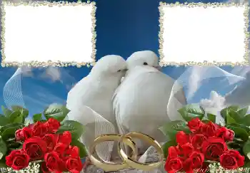 Photo effect from category Wedding frames № 3951 Photo effect from category Wedding frames № 3951