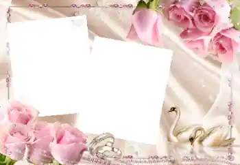 Photo effect from category Wedding frames № 43521 Photo effect from category Wedding frames № 43521