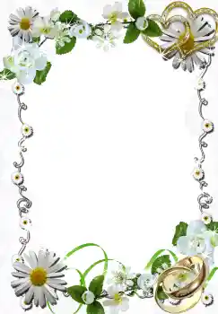 Photo effect from category Wedding frames № 4391 Photo effect from category Wedding frames № 4391