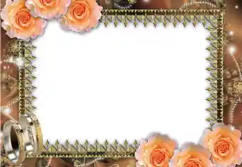 Photo effect from category Wedding frames № 45669 Photo effect from category Wedding frames № 45669