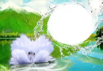 Photo effect from category Wedding frames № 47252 Photo effect from category Wedding frames № 47252