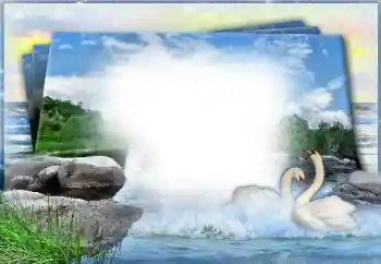 Photo effect from category Wedding frames № 49460 Photo effect from category Wedding frames № 49460