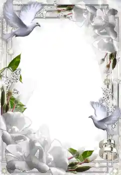 Photo effect from category Wedding frames № 49574 Photo effect from category Wedding frames № 49574