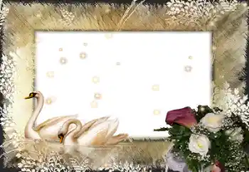 Photo effect from category Wedding frames № 58998 Photo effect from category Wedding frames № 58998