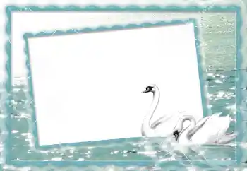 Photo effect from category Wedding frames № 70895 Photo effect from category Wedding frames № 70895