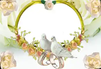 Photo effect from category Wedding frames № 8723