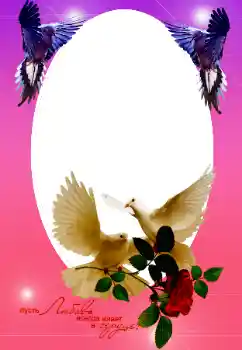 An inscription on the frame: Our wedding An inscription on the frame: Our wedding