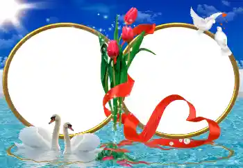 Photo effect from category Wedding frames № 9726