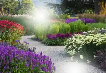 Photo effect from category Women's photo frames № 101176