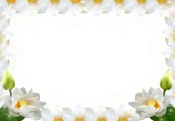 Photo effect from category Women's photo frames № 102569 Photo effect from category Women's photo frames № 102569