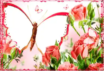 Photo effect from category Women's photo frames № 103883