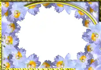 Photo effect from category Women's photo frames № 103943