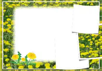 Photo effect from category Women's photo frames № 103949