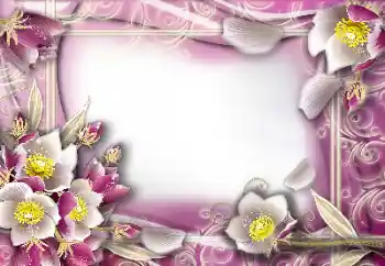 Photo effect from category Women's photo frames № 103964