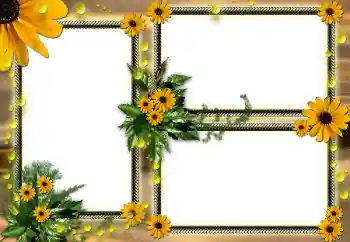 Photo effect from category Women's photo frames № 104030