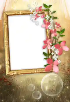 Photo effect from category Women's photo frames № 104034