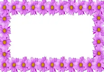 Photo effect from category Women's photo frames № 105414