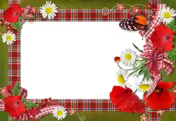 Photo effect from category Women's photo frames № 105436
