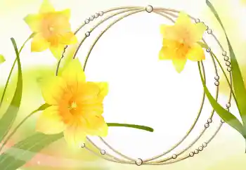 Photo effect from category Women's photo frames № 105478