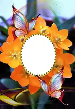 Photo effect from category Women's photo frames № 105575