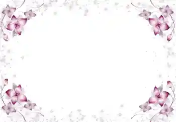 Photo effect from category Women's photo frames № 105650