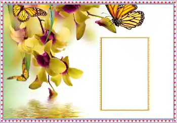 Photo effect from category Women's photo frames № 108699