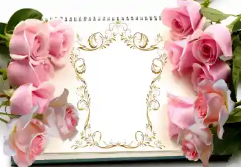 Photo effect from category Women's photo frames № 111933