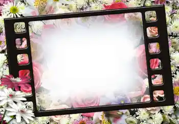 Photo effect from category Women's photo frames № 111956 Photo effect from category Women's photo frames № 111956