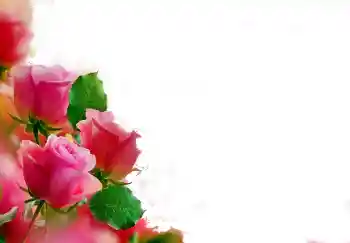 Photo effect from category Women's photo frames № 112139 Photo effect from category Women's photo frames № 112139