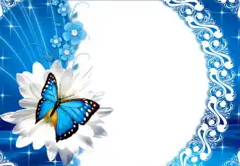 Photo effect from category Women's photo frames № 112249 Photo effect from category Women's photo frames № 112249