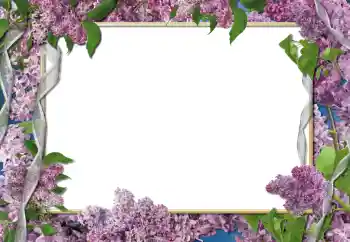 Photo effect from category Women's photo frames № 112261
