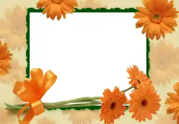 Photo effect from category Women's photo frames № 112266