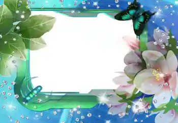 Photo effect from category Women's photo frames № 112274