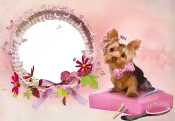 Photo effect from category Women's photo frames № 112337