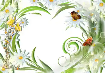 Photo effect from category Women's photo frames № 112507 Photo effect from category Women's photo frames № 112507