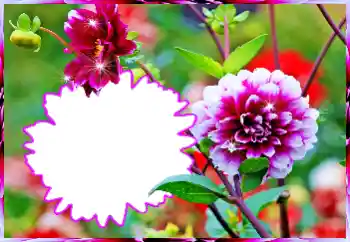 Photo effect from category Women's photo frames № 112519 Photo effect from category Women's photo frames № 112519