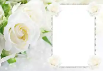 Photo effect from category Women's photo frames № 112529 Photo effect from category Women's photo frames № 112529