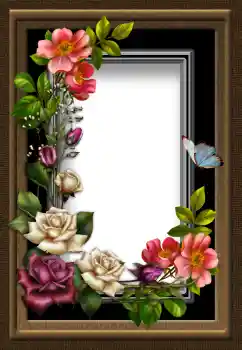 Photo effect from category Women's photo frames № 112535 Photo effect from category Women's photo frames № 112535