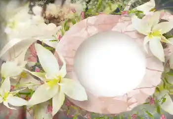 Photo effect from category Women's photo frames № 114219 Photo effect from category Women's photo frames № 114219