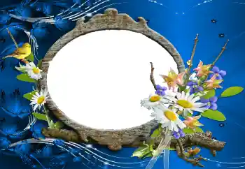 Photo effect from category Women's photo frames № 114227 Photo effect from category Women's photo frames № 114227