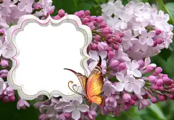 Photo effect from category Women's photo frames № 114264