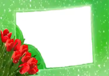 Photo effect from category Women's photo frames № 114275