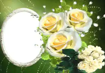 Photo effect from category Women's photo frames № 114330