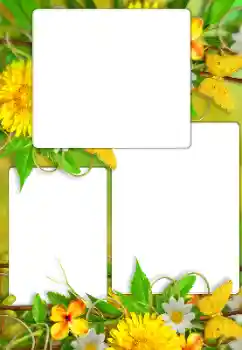 Photo effect from category Women's photo frames № 114738