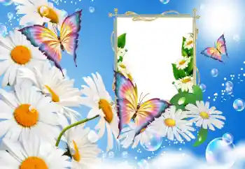 Photo effect from category Women's photo frames № 115889