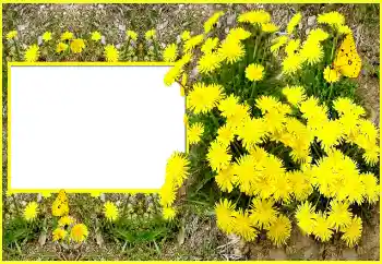 Photo effect from category Women's photo frames № 116202