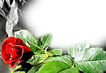 Photo effect from category Women's photo frames № 11831 Photo effect from category Women's photo frames № 11831